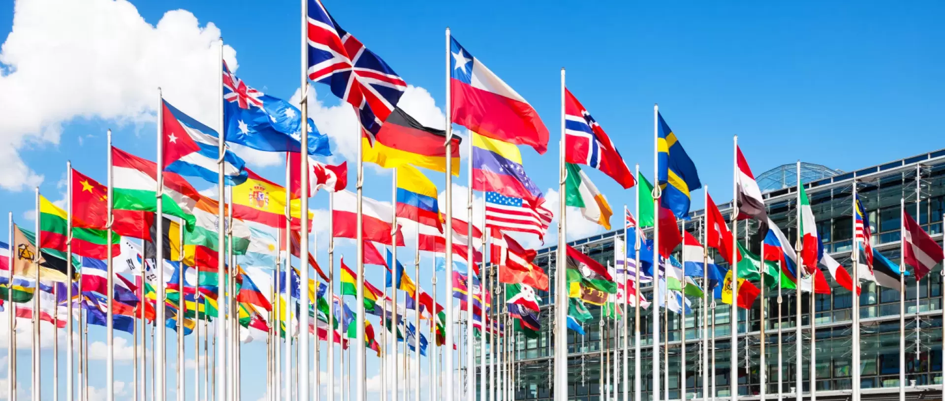 Internationale Rolfing Schulen Internationale Rolfing Schulen