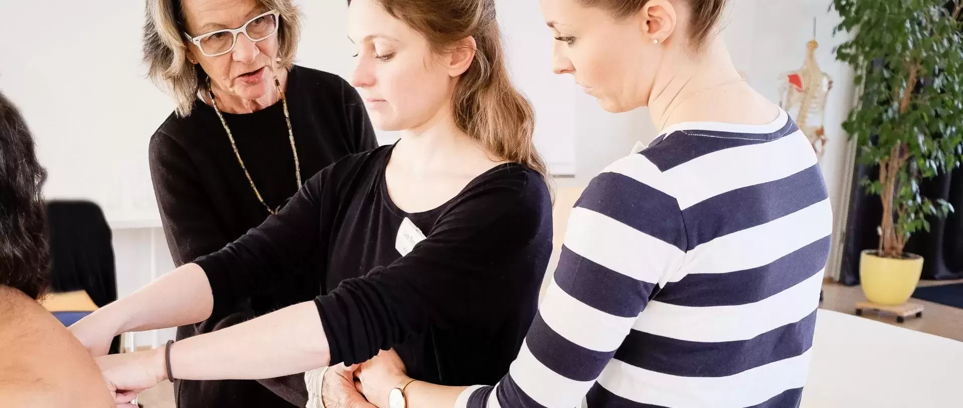 Training and support for Rolfers® across Europe