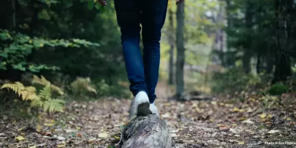 Die Füße und Plantarfaszien im Rolfing®