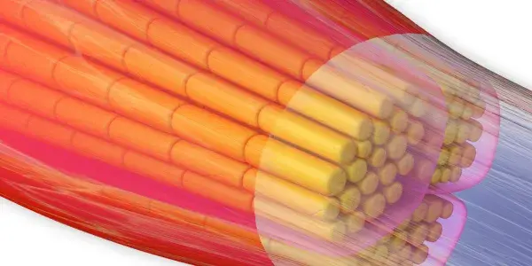 Fascial Method: Rolfing® Structural Integration