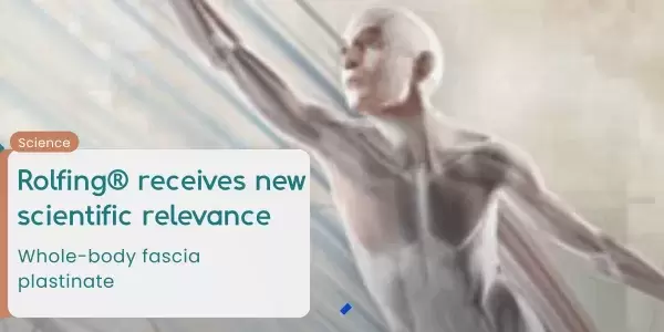Rolfing® Strukturelle Integration erhält neue wissenschaftliche Relevanz